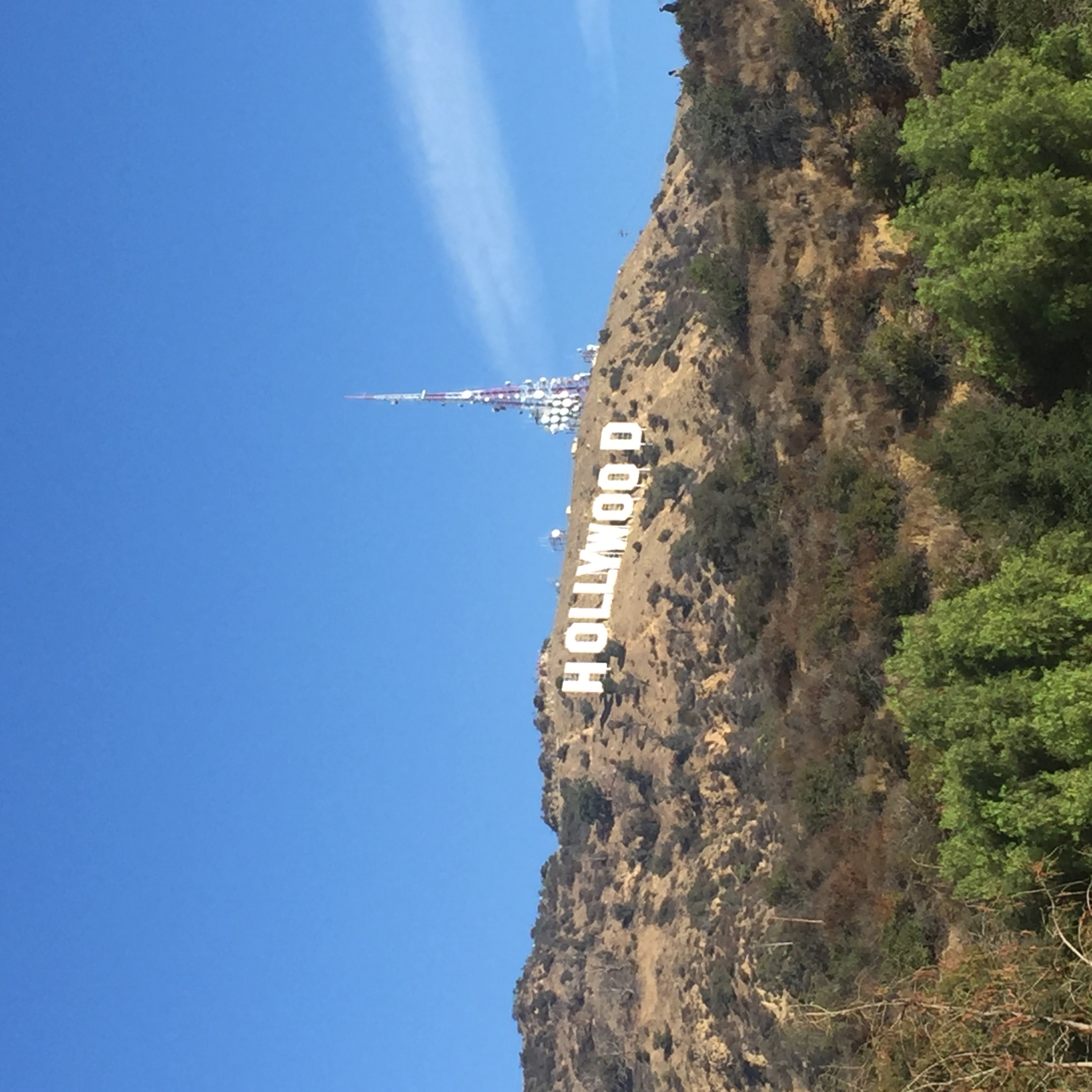 picture of hollywood